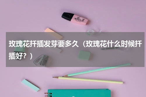 玫瑰花扦插发芽要多久（玫瑰花什么时候扦插好？）