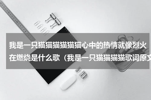 我是一只猫猫猫猫猫猫心中的热情就像烈火在燃烧是什么歌（我是一只猫猫猫猫歌词原文）