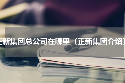 正新集团总公司在哪里（正新集团介绍）