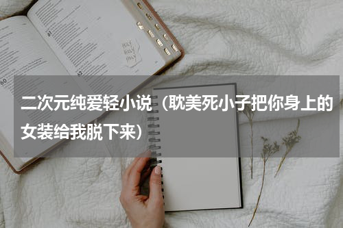二次元纯爱轻小说（耽美死小子把你身上的女装给我脱下来）