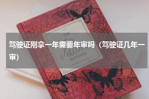 驾驶证刚拿一年需要年审吗（驾驶证几年一审）