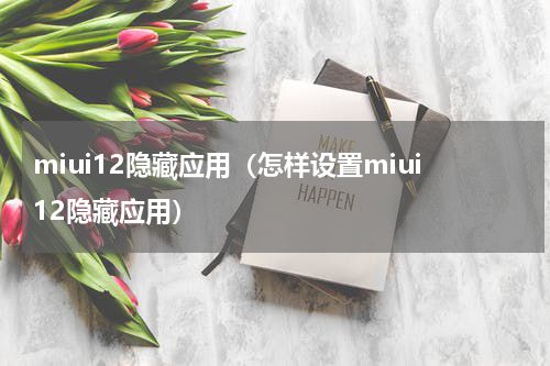 miui12隐藏应用（怎样设置miui12隐藏应用）
