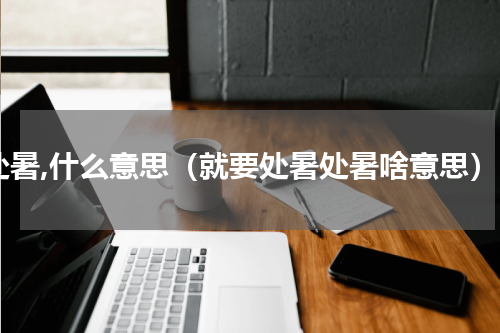 处暑,什么意思（就要处暑处暑啥意思）