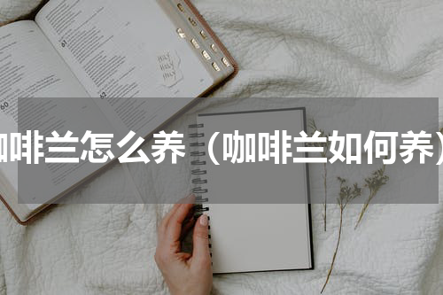 咖啡兰怎么养（咖啡兰如何养）