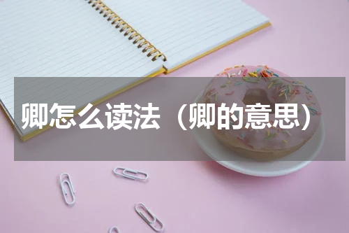 卿怎么读法（卿的意思）