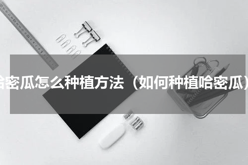 哈密瓜怎么种植方法（如何种植哈密瓜）