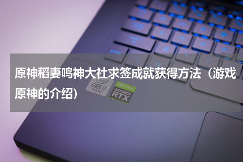 原神稻妻鸣神大社求签成就获得方法（游戏原神的介绍）