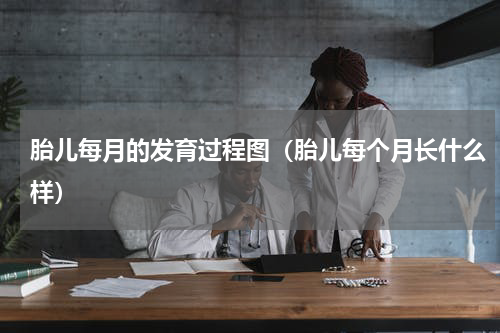 胎儿每月的发育过程图（胎儿每个月长什么样）