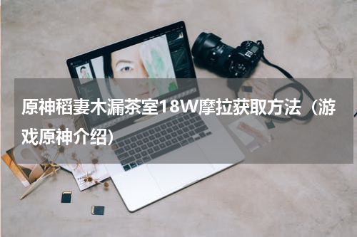 原神稻妻木漏茶室18W摩拉获取方法（游戏原神介绍）