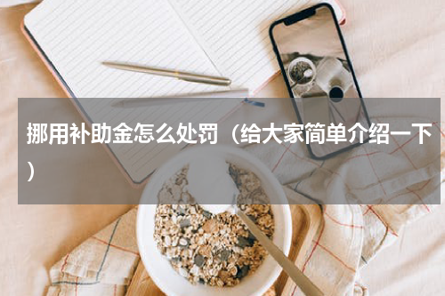 挪用补助金怎么处罚（给大家简单介绍一下）