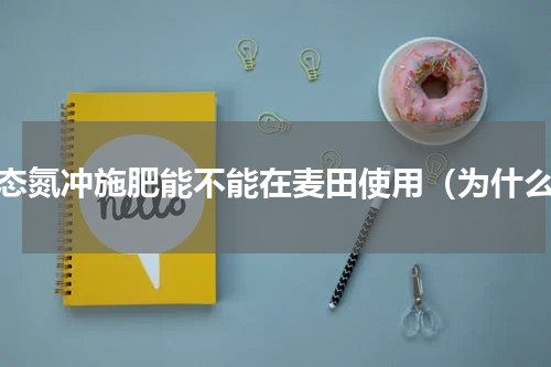 硝态氮冲施肥能不能在麦田使用（为什么）