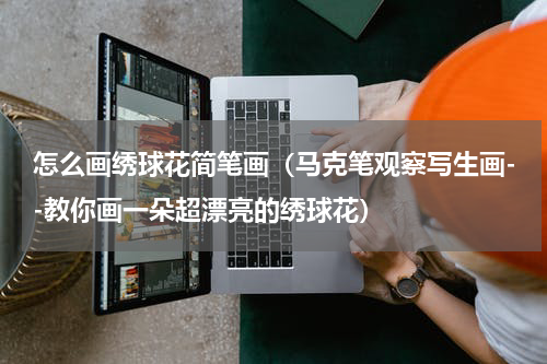 怎么画绣球花简笔画（马克笔观察写生画--教你画一朵超漂亮的绣球花）