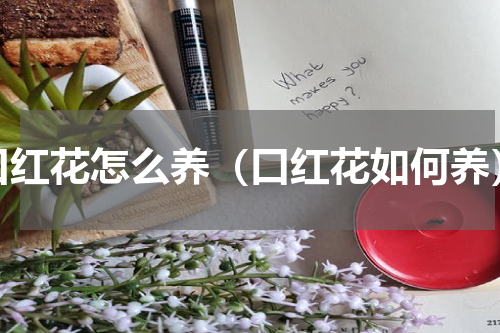 口红花怎么养（口红花如何养）