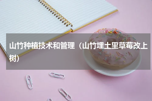 山竹种植技术和管理（山竹埋土里草莓改上树）