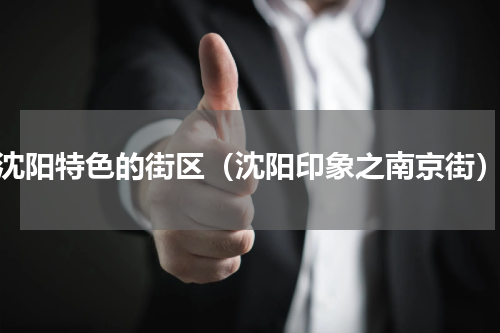 沈阳特色的街区（沈阳印象之南京街）