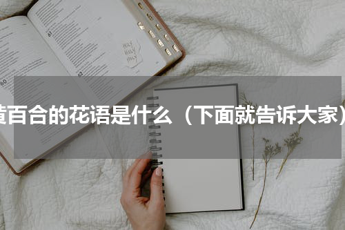 黄百合的花语是什么（下面就告诉大家）