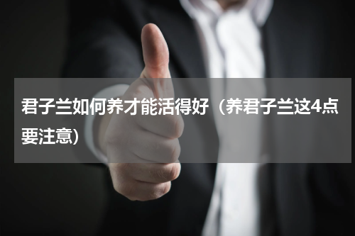 君子兰如何养才能活得好（养君子兰这4点要注意）