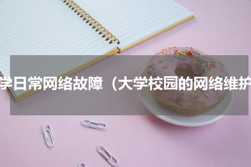 大学日常网络故障（大学校园的网络维护）