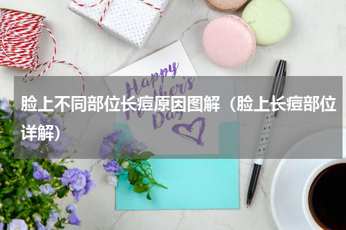脸上不同部位长痘原因图解（脸上长痘部位详解）