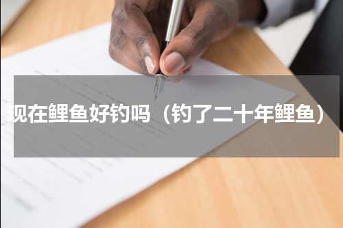 现在鲤鱼好钓吗（钓了二十年鲤鱼）
