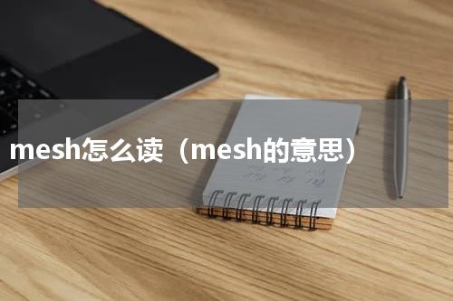 mesh怎么读（mesh的意思）