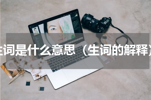 生词是什么意思（生词的解释）