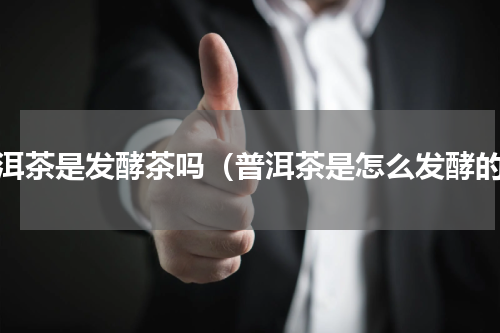 普洱茶是发酵茶吗（普洱茶是怎么发酵的）