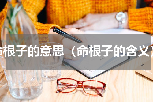 命根子的意思（命根子的含义）