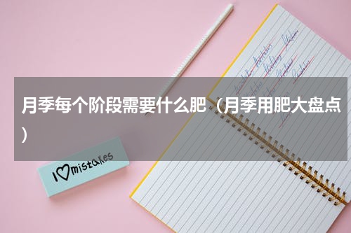 月季每个阶段需要什么肥（月季用肥大盘点）