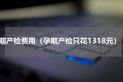 孕期产检费用（孕期产检只花1318元）