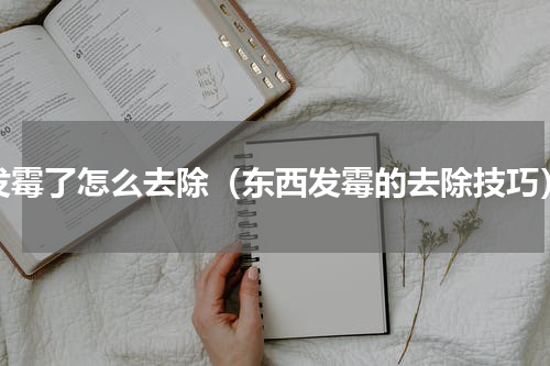 发霉了怎么去除（东西发霉的去除技巧）