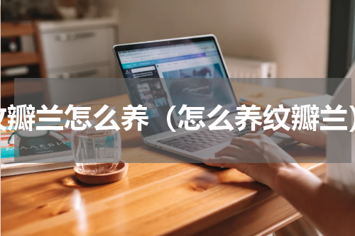 纹瓣兰怎么养（怎么养纹瓣兰）