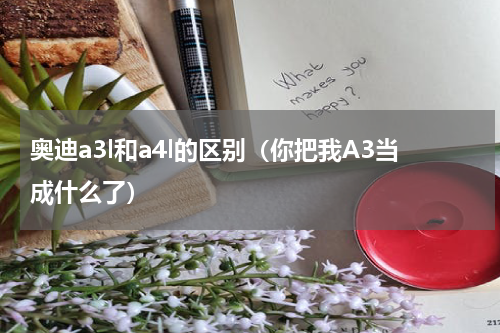 奥迪a3l和a4l的区别（你把我A3当成什么了）