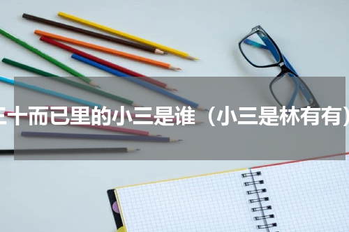 三十而已里的小三是谁（小三是林有有）