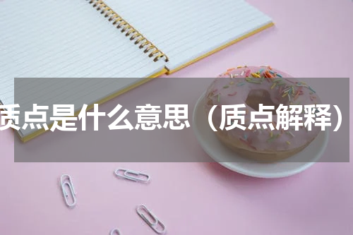 质点是什么意思（质点解释）