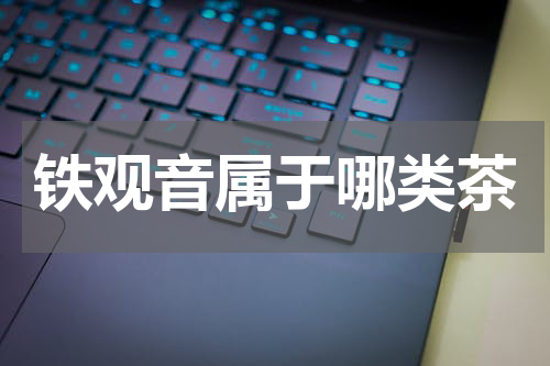 铁观音属于哪类茶