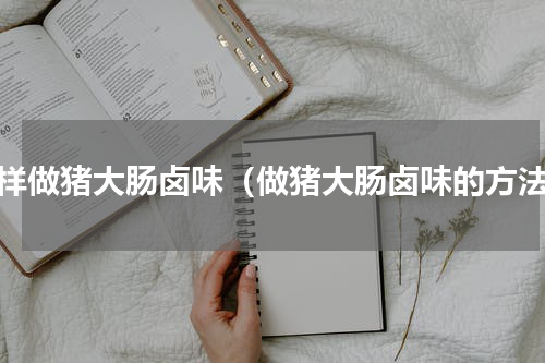 怎样做猪大肠卤味（做猪大肠卤味的方法）