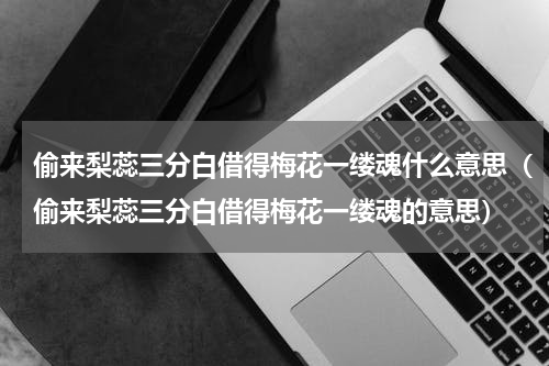 偷来梨蕊三分白借得梅花一缕魂什么意思（偷来梨蕊三分白借得梅花一缕魂的意思）