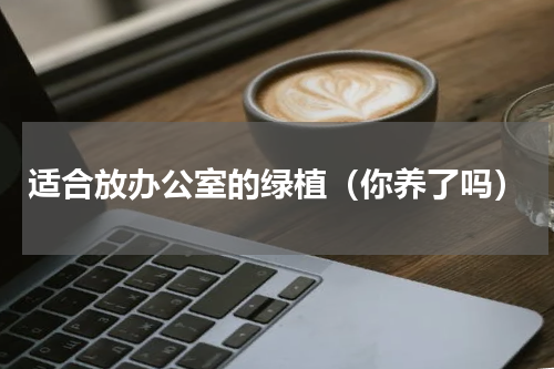 适合放办公室的绿植（你养了吗）