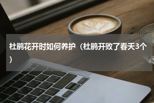 杜鹃花开时如何养护（杜鹃开败了春天3个）