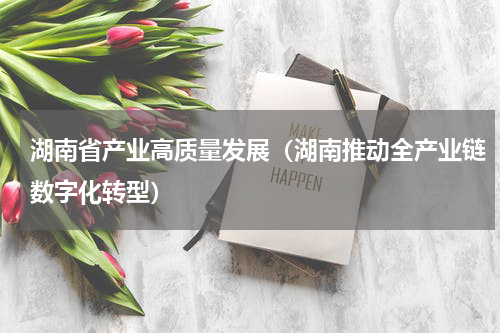 湖南省产业高质量发展（湖南推动全产业链数字化转型）