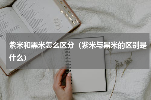 紫米和黑米怎么区分（紫米与黑米的区别是什么）