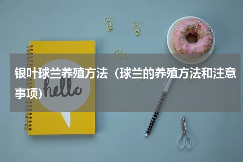 银叶球兰养殖方法（球兰的养殖方法和注意事项）