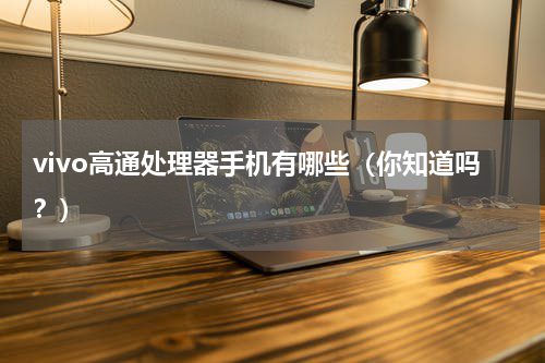 vivo高通处理器手机有哪些（你知道吗？）