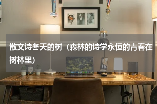 散文诗冬天的树（森林的诗学永恒的青春在树林里）