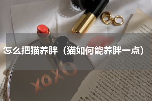 怎么把猫养胖（猫如何能养胖一点）