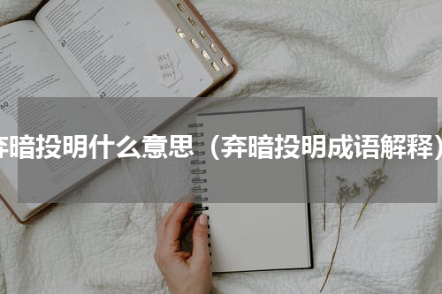 弃暗投明什么意思（弃暗投明成语解释）