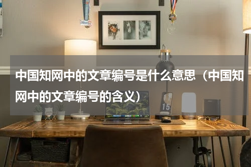 中国知网中的文章编号是什么意思（中国知网中的文章编号的含义）