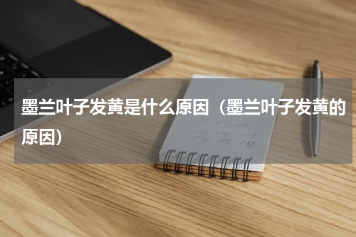 墨兰叶子发黄是什么原因（墨兰叶子发黄的原因）