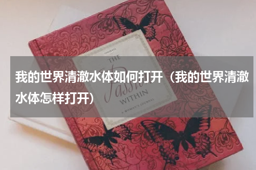 我的世界清澈水体如何打开（我的世界清澈水体怎样打开）